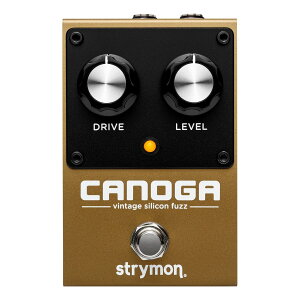 Strymon Canoga