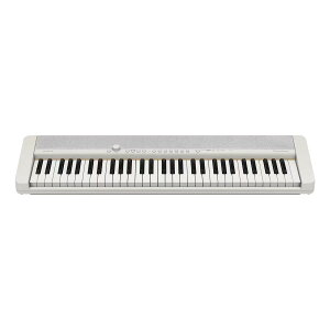 CASIO(�J�V�I) CT-S1WE