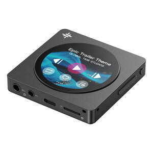 FiiO(�t�B�[�I) Snowsky DISC Black