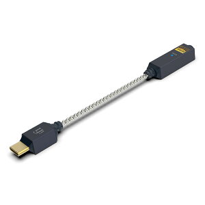 iFi-Audio GO link 2