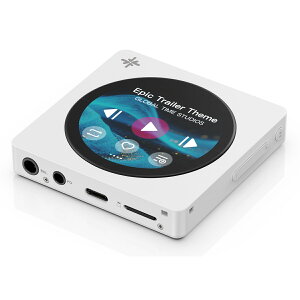 FiiO(�t�B�[�I) Snowsky DISC White