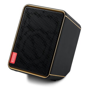 Positive Grid Spark EDGE