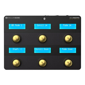 Singular Sound MIDI MAESTRO Gold Edition