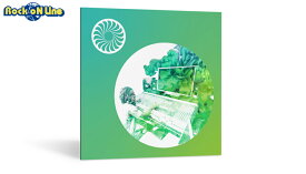 iZotope Insight 2【※シリアルPDFメール納品】【DTM】【プラグインエフェクト】【ノイズ除去ソフト】