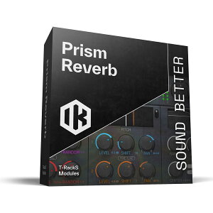 IK Multimedia T-RackS 6 Prism Reverb�y���V���A��PDF���[���[�i�z