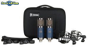 TELEFUNKEN TF11 Stereo SetyRfT[}CNzyR[fBOzyetPz