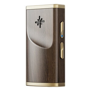 FiiO Snowsky MELODY Walnut