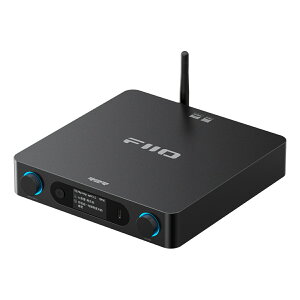FiiO(�t�B�[�I) BR15 R2R Black
