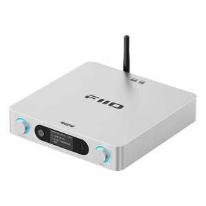 FiiO(�t�B�[�I) BR15 R2R Silver