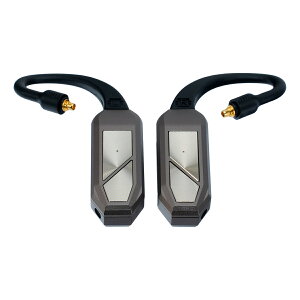iFi-Audio GO pod MAX