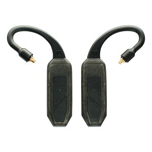 iFi-Audio GO pod Air