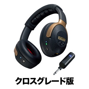 Positive Grid Spark NEO NXO[h