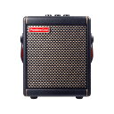 Positive Grid Spark MINI Black