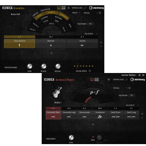 Steinberg(�X�^�C���o�[�O) Iconica Opus�y���V���A�����[���[�i�z