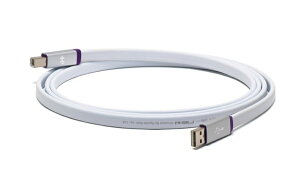 OYAIDE(ICf) d+ USB Class S rev.2 /2.0myDTMzyUSBP[uz