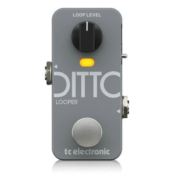 TC Electronic  DITTO 2 LOOPER