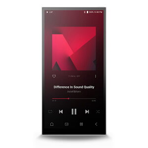 Astell&Kern PD10 Silver