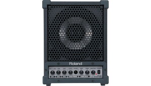 ROLAND(���[�����h) CM-30�y���j�^�[�A���v�z