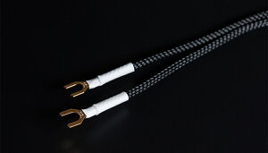 KOJO TECHNOLOGY Clone1Y6