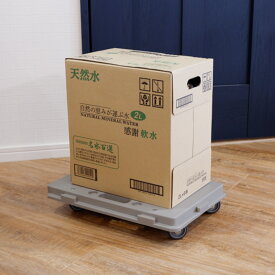 スーパーSALE期間中 ポイント10倍 即納 COLLEND ホームキャリー(バイオマス） 横幅275mm 奥行き410mm 高さ75mm | 平台車 連結台車 軽量台車 コンパクト平台車 軽量静音 コンパクト 業務用 家庭用 キャリーカート 軽量台車 キャスター付き 軽量 荷物移動 便利 楽 簡単