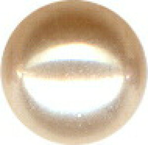 Lb` {fBsAX14g 5mm 6mm JX^ p[c lH p[ J[ 킢 lW {[ ̔ ʔ uh rockxxx JCC  {fB[sAX AM[ ςȂ