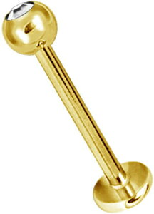 ubg X^bh sAX 킢  14g T?WJXeX316L AM[ s R[  {fBsAX Q[W {fB[sAX XtXL[ fB[X ʔ  