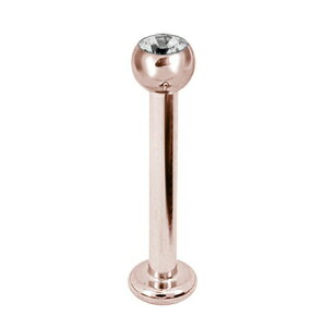 ubg X^bh sAX 킢  14g T?WJXeX316L AM[ s R[  {fBsAX Q[W {fB[sAX XtXL[ fB[X ʔ  