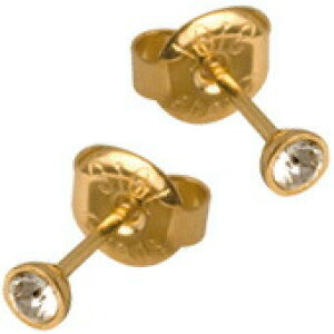 sAX T[WJXeX 316L XtXL[ 2.5mm LL S[h AM[ Ή Vv 킢   Aei fB[X  yA Zbg   