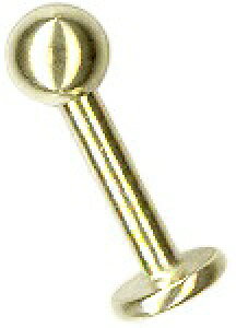 ubg X^bh sAX 킢  16g T?WJXeX316L AM[ s R[  {fBsAX Q[W {fB[sAX fB[X ʔ  uh 