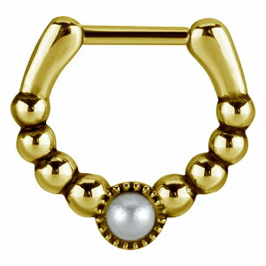 T?WJXeX 316L ^b` [OgO 14G 16Q[W NbJ[ {fBsAX 킢 RAM[ {fB[sAX ʔ  JCC uh ςȂ fB