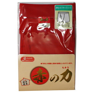 Ԃ̗ am{NT[u[t P-84 J[Fbh@NF/F/Ԃ/Ԃ/pc/A_[EGA/\N/Y/җj@yC/39Vbvz