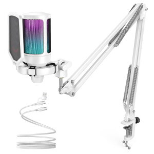 FIFINE �R���f���T�[�}�C�N RGB���C�e�B���O �J�[�f�B�I�C�h�w���� �v���O���v���C USB-C��USB-A�P�[�u���t�� �����^�b�`�~���[�g YouTube Skype Discord Zoom �^�� �Q�[������ �{�C�Y�`���b�g ���C�u�z