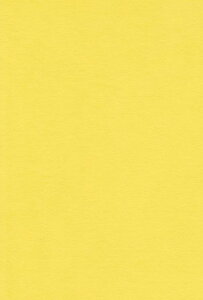 �G�X�P���g �F��p�� A4 �Ђ܂�� 100�� 231806