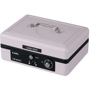 �J�[�������� ��񂰋��� SAFE