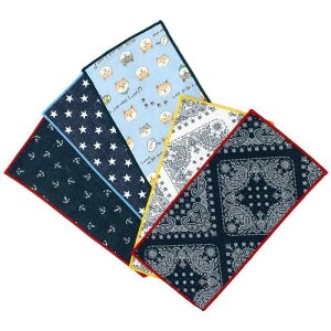 [NX^] nRۃ^Cv LbYn[tnJ` 5Zbg yS{z 100 K[[nJ` n{^jEBHRۃK[[ 킢̃LbYnJ`