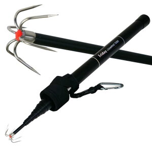 ދ ^тɕ֗ȃRpNg݌ṽCJpMt p tCf[ Friday CJMt300^400^500