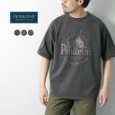 PENDLETON（ペンドルトン） ピグメントダイ プリントTシャツ / 半袖 メンズ レディース 顔料染め Pigmentdye TEE