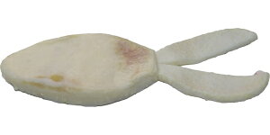 nChAbv@X^bK[ChcCe[|[N@#05i`@GRF菤i