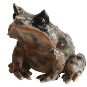 ���v�^�C���Y�}�O REPTILES MAG �~�c�d�m�R�m�n�K�G�� MEGOPHRYS NASUTA 57796