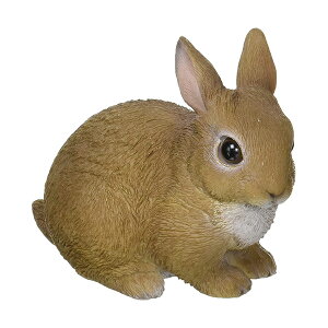 PET BANK ybgoN RABBIT (ETM) 974