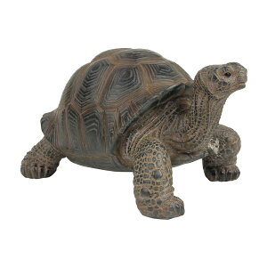 PET BANK �y�b�g�o���N TORTOISE (���N�K��) 975