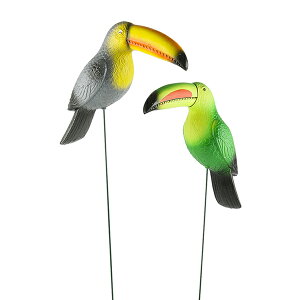 Proposition 65 Warnings Toucan �K�[�f���X�e�B�b�N �����_���J���[�i�J���[�w��s�j 4S-47607