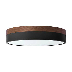 BRID Olika �I���J LED�V�[�����O���C�g Ver.2 (�����E���F��) 003371