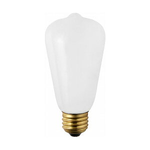 BRID ���B���e�[�WLED�o���u VINTAGE LED BULB_E26/4.3W�iWHITE �j002098