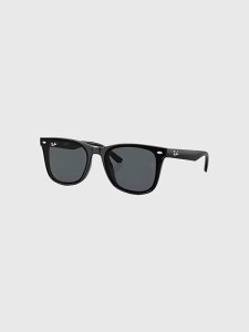 ���C�o�� �T���O���X Wayfarers �E�F�C�t�@�[���[ �C���X�p�C�A Ray-Ban �t���b�g�����Y RB4391D 601 87 �_�[�N�O���[ �v���X�`�b�N�t���[�� ���[�u���b�W�t�B�b�g ray ban