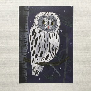 フィンランド Kehvola Design ケフボラデザイン Matti pikkujamsa マッティ・ピックヤムサ 北欧 ポストカード Lapinpollo ラップランドフクロウ