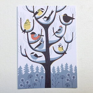 tBh@Kehvola Design@Pt{fUC@Timo Mnttri eBE}b^@k@|XgJ[h@Talvipuu@~̖