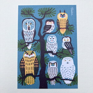 tBh@Kehvola Design@Pt{fUC@Timo Mnttri eBE}b^@k@|XgJ[h@Pollopuu tNE̖