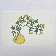 米津祐介　Yusuke Yonezu　ポストカード　「Yellow flower」黄色い花