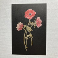 タッチアンドフロー×sasaki megumi ささきめぐみ　ポストカード　アネモネ